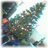 Christmas 2004